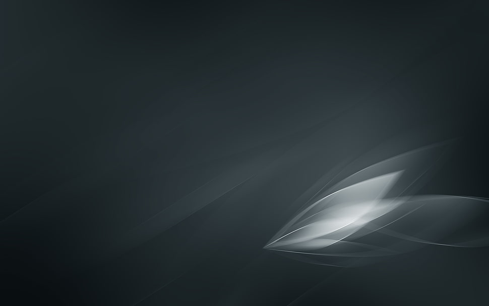 white and grey leaf digital wallpaper HD wallpaper